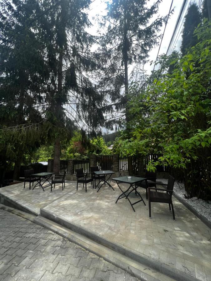 Chalet Minut Vatra Dornei Zewnętrze zdjęcie