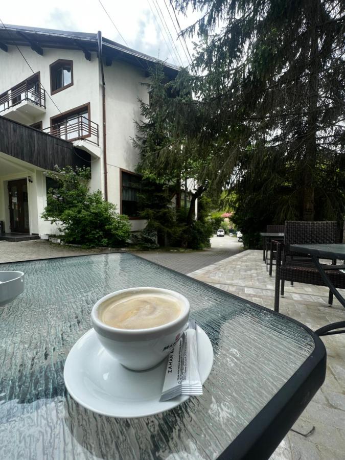 Chalet Minut Vatra Dornei Zewnętrze zdjęcie